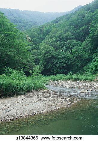 Anmon River, Shirakami Sanchi, Japan View Large Photo Image Stock Photograph - Anmon River, Shirakami Sanchi, Japan. Fotosearch