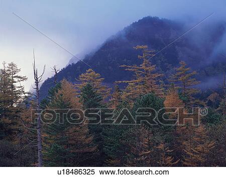 Stock Photography - Kamikochi, Nagano Prefecture, Japan. Fotosearch