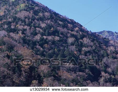Mountain in Tochigi Prefecture, Japan View Large Photo Image Picture - Mountain in Tochigi Prefecture, Japan. Fotosearch