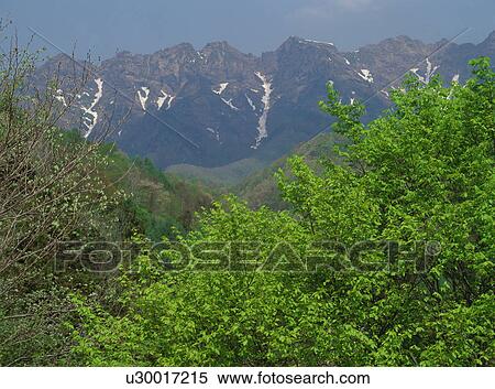Mountains in Nagano Prefecture, Japan View Large Photo Image Stock Photography - Mountains in Nagano Prefecture, Japan. Fotosearch