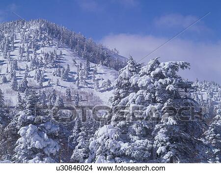 Picture - Snow covered mountain. Fotosearch