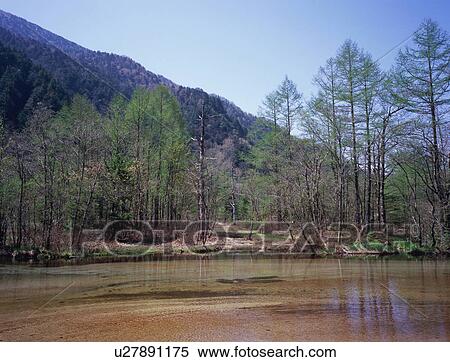 Tashiro Pond in Kamikochi, Nagano Prefecture, Japan View Large Photo Image Stock Photography - Tashiro Pond in Kamikochi, Nagano Prefecture, Japan. Fotosearch
