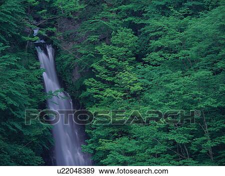 Stock Photo - Waterfall in mountain. Fotosearch