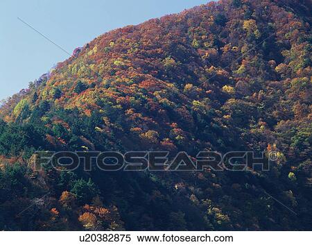 Stock Photography - Aerial view of mountain in Japan. Fotosearch