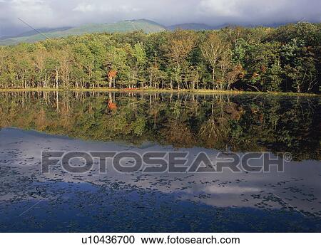 Five Lakes in Shiretoko, Hokkaido, Japan View Large Photo Image Stock Image - Five Lakes in Shiretoko, Hokkaido, Japan. Fotosearch