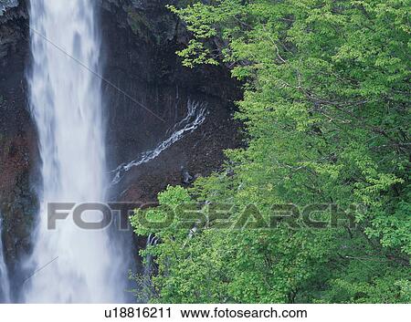 Kegon waterfall, Nikko, Tochigi Prefecture, Japan View Large Photo Image Stock Image - Kegon waterfall, Nikko, Tochigi Prefecture, Japan. Fotosearch
