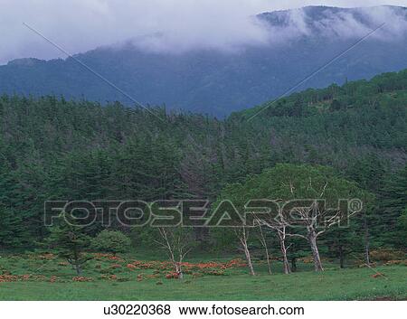 Stock Photo - Mountain in Nagano Prefecture, Japan. Fotosearch