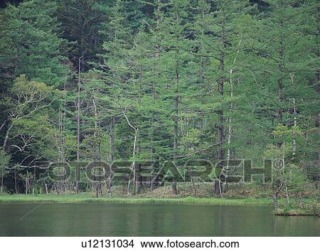Myojin Pond, Kamikochi, Nagano Prefecture, Japan View Large Photo Image Picture - Myojin Pond, Kamikochi, Nagano Prefecture, Japan. Fotosearch
