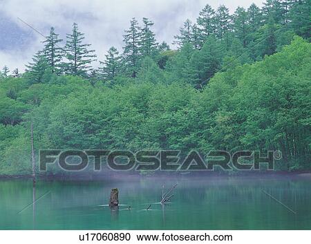 Stock Image - Taisho Pond, Kamikochi, Nagano Prefecture, Japan. Fotosearch