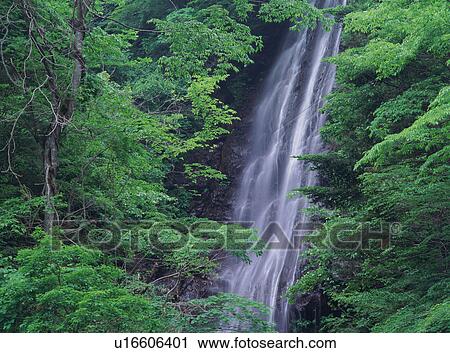 Waterfall in Yamanashi Prefecture, Japan View Large Photo Image Stock Image - Waterfall in Yamanashi Prefecture, Japan. Fotosearch