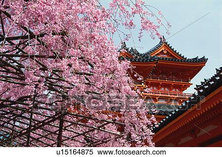 Heian Jingu Shrine, Kyoto Prefecture, Japan View Large Photo Image Stock Photography - Heian Jingu Shrine, Kyoto Prefecture, Japan. Fotosearch
