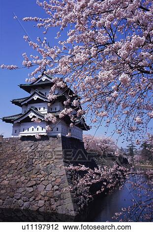 Hirosaki Castle in spring View Large Photo Image Stock Image - Hirosaki Castle in spring. Fotosearch