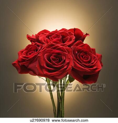 Stock Photo - Bouquet of red roses against glowing golden background.. Fotosearch