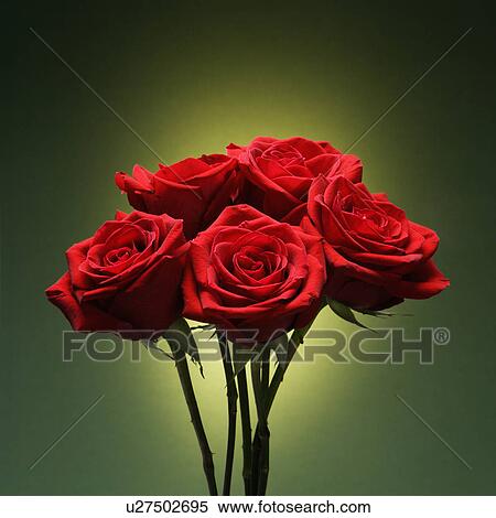 Bouquet of red roses against glowing green background. View Large Photo Image Stock Photography - Bouquet of red roses against glowing green background.. Fotosearch