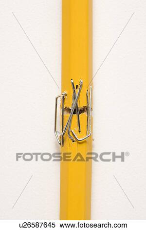 Wooden yellow pencil broken and stapled back together against white background. View Large Photo Image Stock Photography - Wooden yellow pencil broken and stapled back together against white background.. Fotosearch