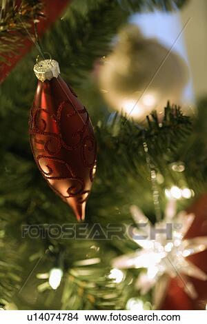 Picture - Close up of gold and red ornaments hanging in Christmas tree.. Fotosearch