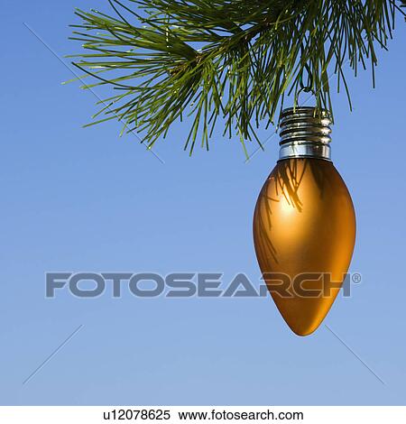 Stock Photography - Orange ornament hanging on Christmas tree branch against blue background.. Fotosearch