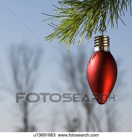 Red ornament hanging on Christmas tree branch winter trees in background. View Large Photo Image Stock Image - Red ornament hanging on Christmas tree branch winter trees in background.. Fotosearch