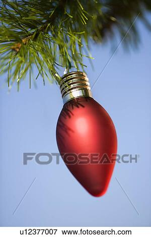Red ornament hanging on Christmas tree branch against blue background. View Large Photo Image Stock Photo - Red ornament hanging on Christmas tree branch against blue background.. Fotosearch