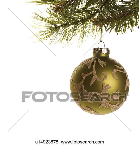Still life of gold Christmas ornament hanging from pine branch. View Large Photo Image Stock Photography - Still life of gold Christmas ornament hanging from pine branch.. Fotosearch