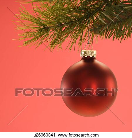 Stock Image - Still life of red Christmas ornament hanging from pine branch. Fotosearch