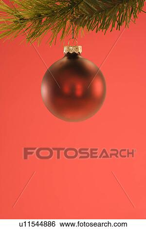 Stock Photograph - Still life of red Christmas ornament hanging from pine branch.. Fotosearch