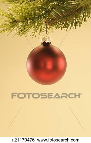 Stock Photograph - Still life of red Christmas ornament hanging from pine branch. Fotosearch