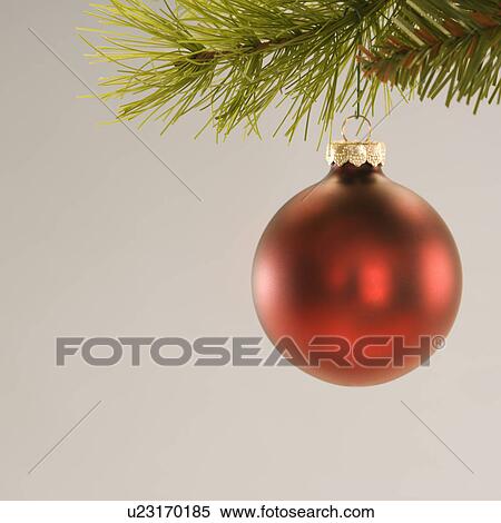 Stock Photography - Still life of red Christmas ornament hanging from pine branch. Fotosearch