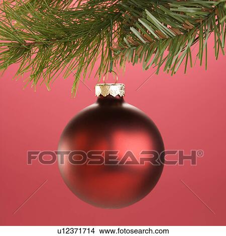 Still life of round red Christmas ornament hanging from pine branch. View Large Photo Image Picture - Still life of round red Christmas ornament hanging from pine branch.. Fotosearch