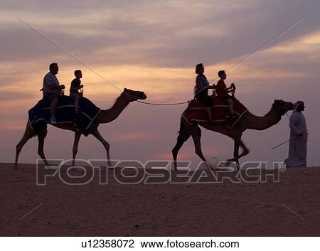 desert, dune, safari, dubai, adventure, camels, sunset View Large Photo Image Stock Image - desert, dune, safari, dubai, adventure, camels, sunset. Fotosearch