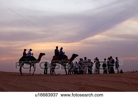 Stock Photo - desert, dune, safari, dubai, adventure, camels, sunset. Fotosearch