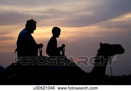 Stock Photograph - desert, dune, safari, dubai, adventure, camels, sunset. Fotosearch