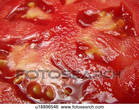Tomatoe, Tomatoes, Organic, Cooking, Juice, Food, Fresh View Large Photo Image Stock Photograph - Tomatoe, Tomatoes, Organic, Cooking, Juice, Food, Fresh. Fotosearch