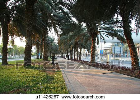 Stock Photo - dubai, industry, commerce, trade, dhows. Fotosearch
