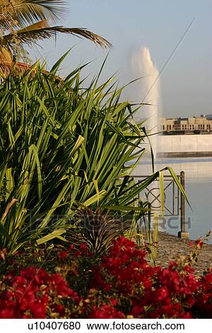 Stock Image - dubai, deira, creek, bur, dubai, flower, grass. Fotosearch
