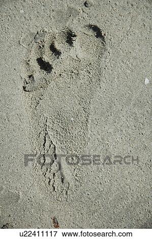 Stock Photo - dubai, sea, water, gulf, sky, beach. Fotosearch