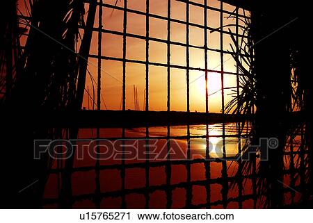 Stock Image - sunset, sunrise, rise, dubai, beach. Fotosearch