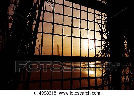 Stock Photo - sunset, sunrise, rise, prison, beach. Fotosearch