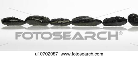 Stock Photo - Row of black stones. Fotosearch