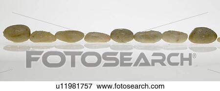 Row of white stones View Large Photo Image Stock Photo - Row of white stones. Fotosearch