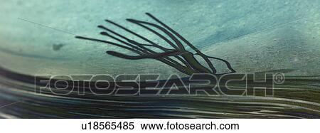 Textured surface close up View Large Photo Image Stock Photography - Textured surface close up. Fotosearch