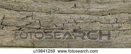 Wood close up View Large Photo Image Stock Photo - Wood close up. Fotosearch