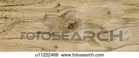 Stock Photograph - Wood close up. Fotosearch