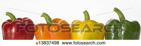 Colored Peppers View Large Photo Image Stock Photo - Colored Peppers. Fotosearch