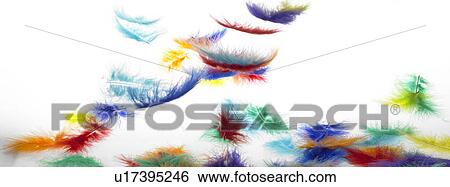 Stock Photograph - Colorful feathers falling . Fotosearch