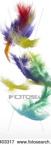 Coloured feathers falling View Large Photo Image Stock Photo - Coloured feathers falling. Fotosearch