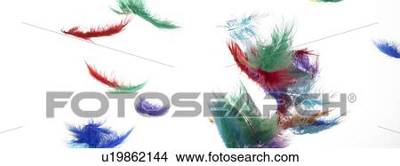 Colourful feathers falling View Large Photo Image Picture - Colourful feathers falling. Fotosearch