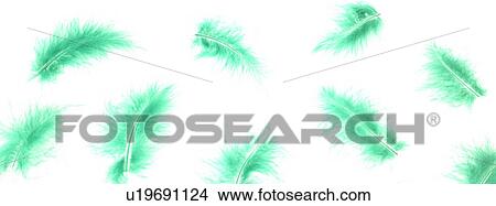 Green feathers View Large Photo Image Picture - Green feathers. Fotosearch