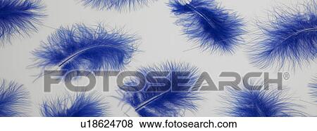 Stock Photo - Panoramic colors feathers. Fotosearch