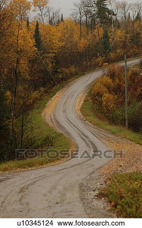 Picture - Autumn Colors at Lake of the Woods, Ontario, Canada. Fotosearch